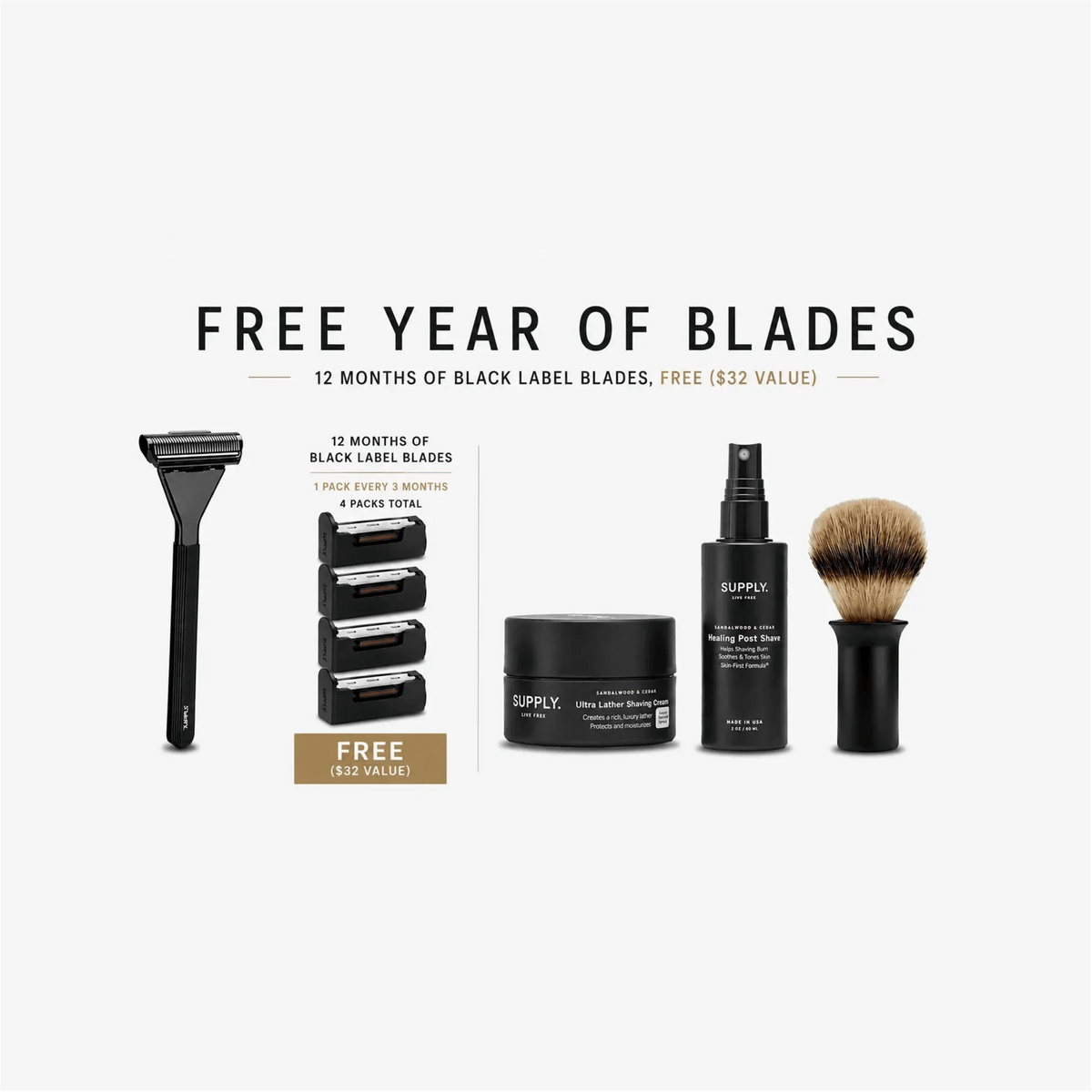 Single Edge MAX Starter Set + Free Year of Blades - Shaving Bundle